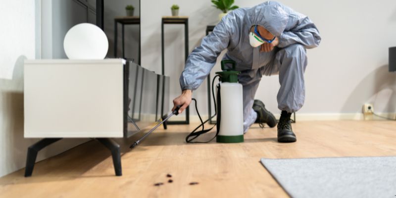 Quanto Tempo Dura a Dedetização? Guia por Praga